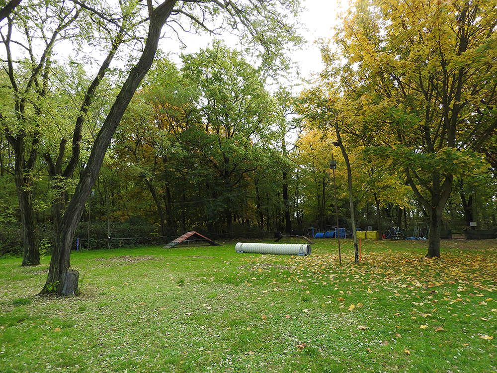 Hundeplatz Berlin HSV Spreeathen