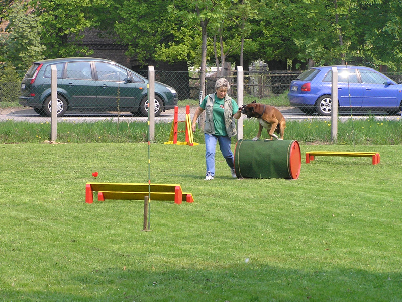 Hundesportarten Tonne